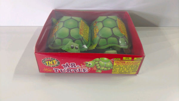 Mr. Turtle