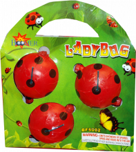 Lady_Bugs_4bcbd3bde57c6